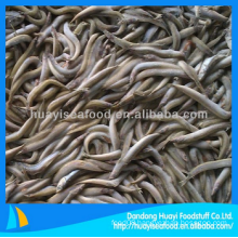 frozen high quality sand lance good seafood supplier